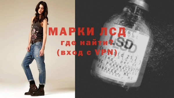 мдпв Бородино
