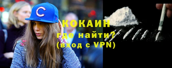 мдпв Бородино