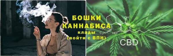 мдпв Бородино