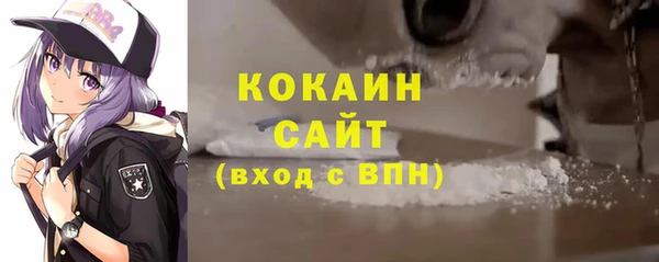 мдпв Бородино