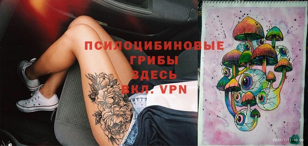 мдпв Бородино