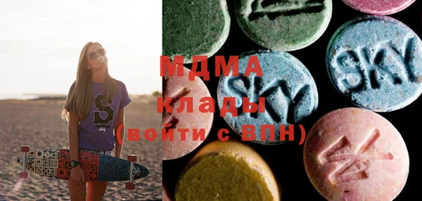 мдпв Бородино