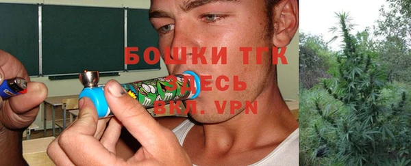прущий лед Верея