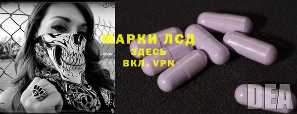 мдпв Бородино