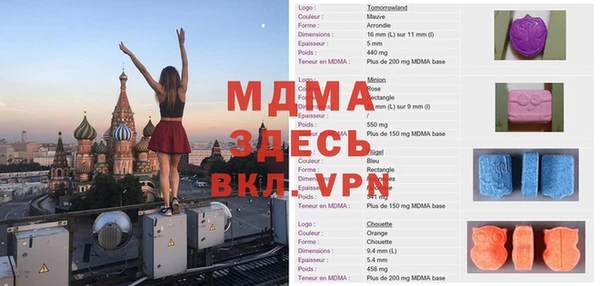 мдпв Бородино