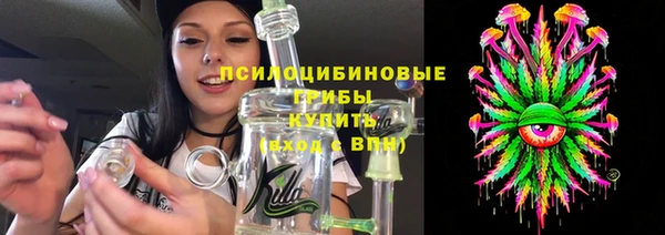 apvp Верхний Тагил