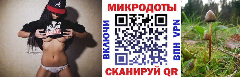 Купить закладки  Шумиха  Галлюциногенные грибы GOLDEN TEACHER 